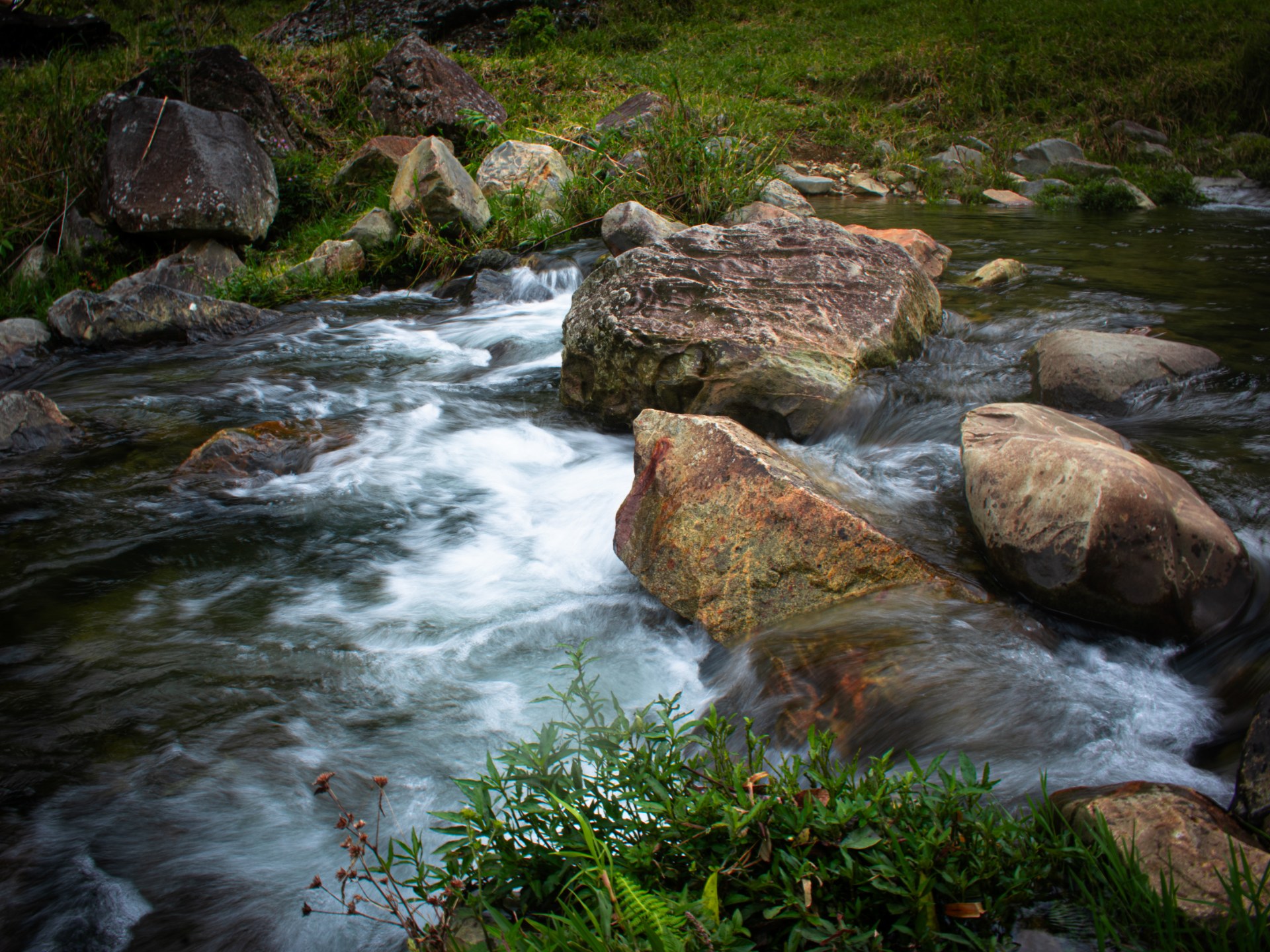 Beautiful nature landscape